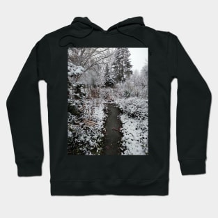 winter in the garden Hoodie